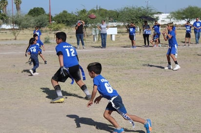 Fueron un total de 19 equipos los que participaron en este atractivo certamen, dividido en tres categorías y que tuvo como objetivo el promover entre los niños laguneros la práctica de esta disciplina deportiva.