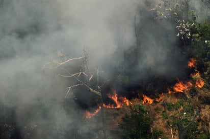 Debido a la presencia de vientos provenientes del norte la cortina de humo continuará desplazándose hacia el sur y en los próximos días podría llegar a Buenos Aires y la zona centro del país. (EFE)