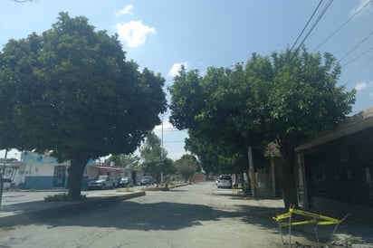 Reclaman habitantes de la colonia Valle Verde de Torreón por el abandono generalizado en servicios públicos de su sector.