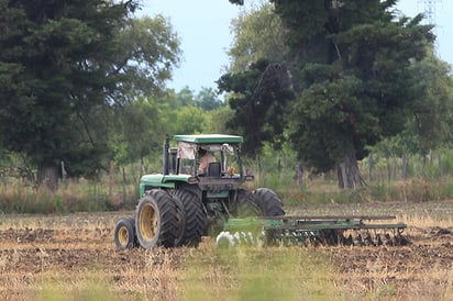 Los abrevaderos en el campo siguen secos; no hay dónde acuda el ganado a beber agua.