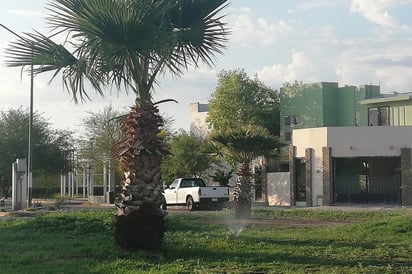 Vecinos riegan todo el día un área verde en la glorieta que se ubica a la entrada del sector. (EL SIGLO DE TORREÓN)