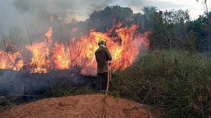 Fuerzas Armadas realizaron a lo largo del día diversos sobrevuelos en la región para detectar las zonas más afectadas por el fuego. (EFE)