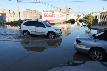 Señalaron autoridades que no se trata de brotes de aguas negras. (FERNANDO COMPEÁN)