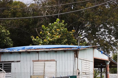 La muerte de Flores es la primera relacionada con el paso de la tormenta Dorian por Puerto Rico. (ARCHIVO)