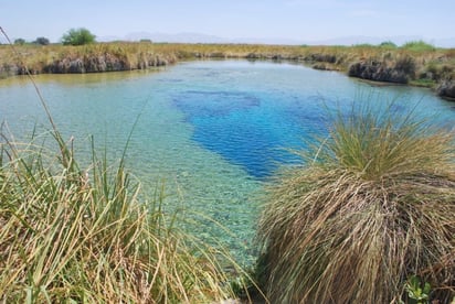 El calentamiento global, la falta de lluvias, la explotación del agua y las altas temperatura afectan a los humedales.