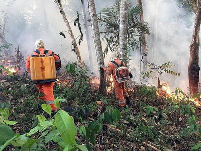 El mandatario, criticado a nivel internacional por sus políticas medioambientales y cuya imagen está en crisis por los incendios, firmó a última hora del miércoles el decreto que prohíbe las quemas durante dos meses. (ARCHIVO)