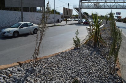 La orden de detener dichas acciones se realizó oficialmente el miércoles. (EL SIGLO DE TORREÓN)