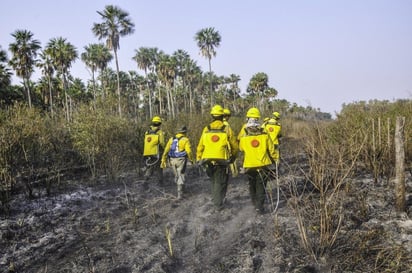 Los incendios en el norte de Paraguay, en el vértice fronterizo con Bolivia y Brasil, han dejado por el momento más de 61,000 hectáreas calcinadas en una zona donde todavía continúan las tareas de prevención contra el fuego. (ARCHIVO)