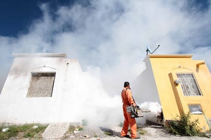 Se realizan labores contra mosquito.