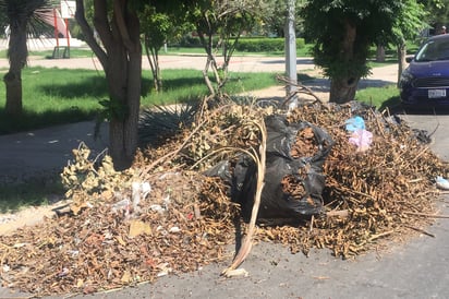 Proponen crear una Policía Ecológica que sancionará a todos aquellos que dañen el medio ambiente, incluyendo tirar basura. (EL SIGLO DE TORREÓN)