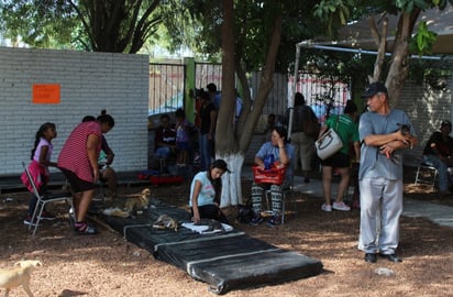 Más de 30 mascotas fueron esterilizadas en la campaña que lanzó el Centro Antirrábico. (EL SIGLO DE TORREÓN)