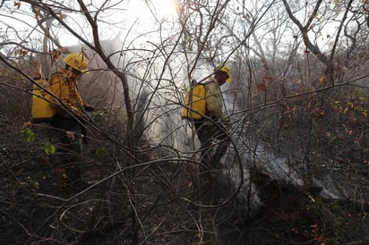 Tras los daños causados por los incendios forestales en el departamento de Santa Cruz, en especial en la Chiquitania, donde continuan las labores de extinción, las autoridades presentaron al Parlamento local el proyecto de Ley Departamental de Declaratoria de Pausa Ambiental. (ARCHIVO)