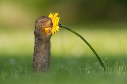 El fotógrafo dice que tomó muchas imágenes, pero esta fue especial. (INTERNET)