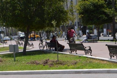 Con la modificación al reglamento de Parques y Jardines se tiene el objetivo a conservar los espacios públicos. (EL SIGLO DE TORREÓN)