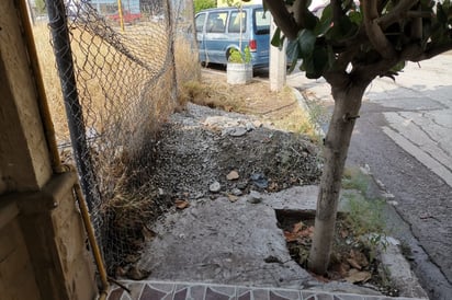 Escombro, ramas, restos de televisores y animales muertos se pueden observar en el terreno. (EL SIGLO DE TORREÓN)