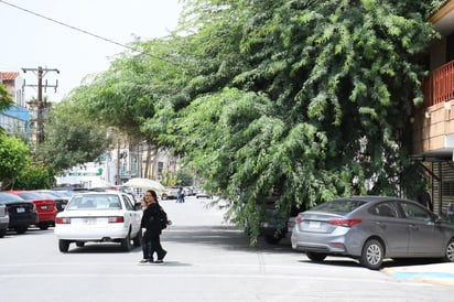 Señalan que sus ramas han crecido a tal punto que prácticamente obstruyen todo un carril de circulación de la avenida. (EL SIGLO DE TORREÓN)