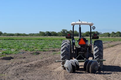 Buscan Gobierno y productores agrícolas usar la ciencia y experiencia para elevar productividad. (EL SIGLO DE TORREÓN)