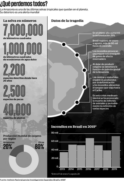 Amazonas, radiografía de