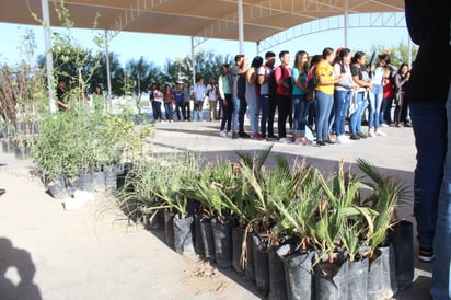 El Ayuntamiento donó al Tecnológico 250 árboles para reforestar. (CORTESÍA)