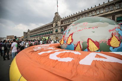 Un grupo de jóvenes acudió hoy a Palacio Nacional para exigir al presidente Andrés Manuel López Obrador la declaratoria de emergencia climática en México. (ARCHIVO)