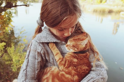 Los gatos de compañía desarrollan vínculos con sus dueños humanos similares a los que forman niños y perros con sus cuidadores. (ARCHIVO)