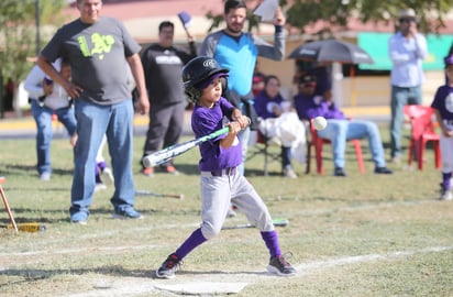 Además de un buen nivel de juego, durante el torneo se vive un ambiente muy familiar y fraterno, en los diamantes laguneros. (ARCHIVO) 