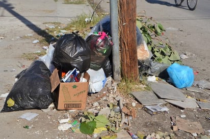 La ruta de recolección de basura no se había cumplido en distintos puntos de la ciudad.  (FABIOLA P. CANEDO/EL SIGLO DE TORREÓN)