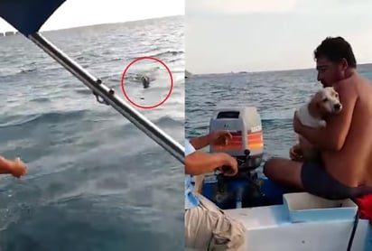 El can fue llamado 'Wilson' por los pescadores tras ser rescatado (INTERNET) 