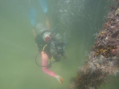 La falta de financiamiento de los fondos ambientales tanto privados como públicos en México provoca que 'las necesidades ecológicas se acrecienten y no sean atendidas', señaló este domingo Lorenzo Rosenzweig Pasquel, director ejecutivo del Fondo Mexicano para la Conservación de la Naturaleza (FMCN). (EFE)