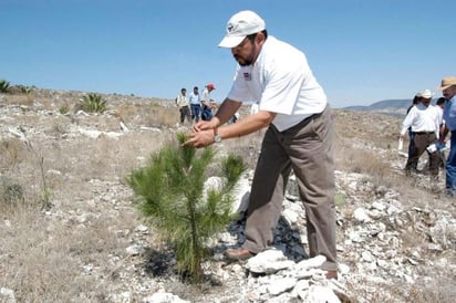 Actualmente hay 22 personas trabajando en Coahuila, no obstante, falta una cantidad similar. (ARCHIVO)