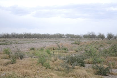 El Gobierno federal ha destinado más de 536 millones de pesos para atender a productores afectados por la sequía del territorio mexicano. (EL SIGLO DE TORREÓN)