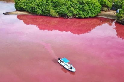 La laguna de Manialtepec se localiza en la Costa de Oaxaca, a 15 minutos de Puerto Escondido, y es famosa por sus bioluminiscencias de color azul, por la descomposición de algunas algas. (ESPECIAL)