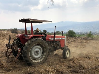 De acuerdo con lo informado a Efe por los propios afectados, en la actual temporada de lluvias solo 20 % de los productores sembraron la flor de la que se extrae la goma de opio, por lo que en los caminos y laderas de la sierra ya no se observan las plantas. (ARCHIVO)