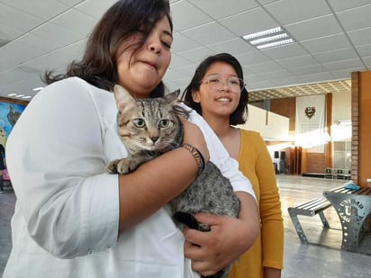 La inauguración de la Expo Felina 2019 fue a las 9:30 horas del domingo 13 de octubre e inició con un ciclo de conferencias. (DIANA GONZÁLEZ)