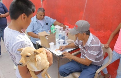 Realizan acciones para prevenir la rickettsiosis transmitida por garrapatas. (EL SIGLO DE TORREÓN)