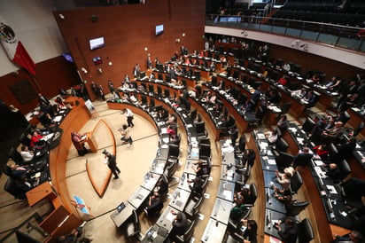 Senadores no eligieron al próximo titular de la CNDH. (AGENCIAS)