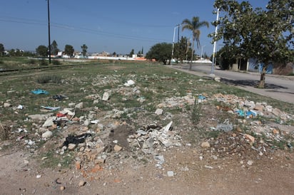 Las áreas verdes de varios puntos de la ciudad se encuentran muy descuidadas. (EL SIGLO DE TORREÓN)