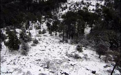 El promedio de agua de lluvia para un mes de noviembre es de 13.3 milímetros en todo el estado. (EL SIGLO DE TORREÓN) 