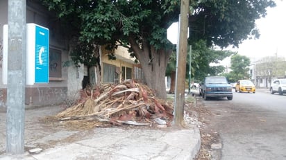 Debido a este amontonamiento, se dificulta el tránsito de los peatones, quienes en algunas ocasiones tienen que rodear el camino por la carretera. (EL SIGLO DE TORREÓN)