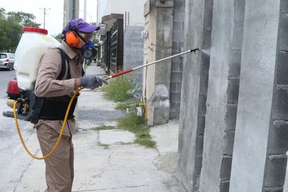 En lo que va del año han sido confirmados 124 casos de enfermedad por virus del Zika a nivel nacional, de acuerdo con la Dirección General de Epidemiología. (ARCHIVO)