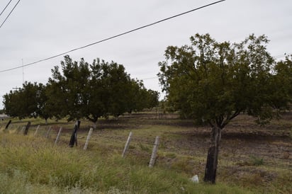 Éxito.- Más de 130 productores de esta región y de otras del país participan en este curso. (ARCHIVO) 