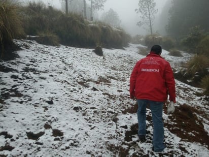 En las regiones de montaña de Veracruz se esperan en las próximas horas heladas fuertes, así como la caída de aguanieve, nieve y cencelladas. (TWITTER)