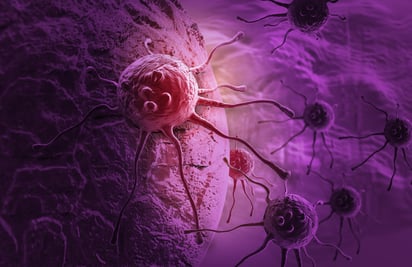 Algunas células cancerosas devoran a sus pares tumorales vecinas para sobrevivir a la quimioterapia y reanudar el ataque después que ha concluido el tratamiento. (ARCHIVO)