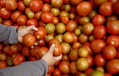 Entre los bienes y servicios cuya baja de precios coadyuvaron destacan el jitomate, naranja, pollo, aguacate, entre otros. (ARCHIVO) 