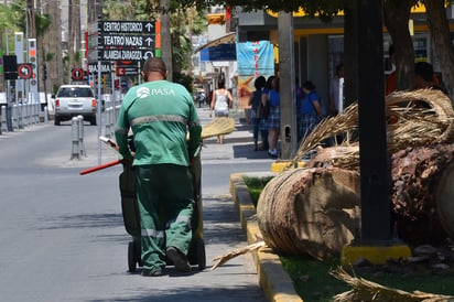 Habrá servicio regular de recolección de basura este martes. (ARCHIVO)