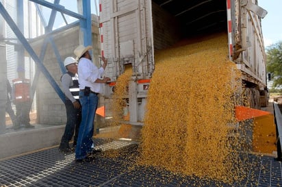 En noviembre de 2019, el valor de las exportaciones de mercancías alcanzó 37 mil 496 millones de dólares, cifra 2.9% inferior a la reportada en el mismo periodo del año anterior, con lo que acumula tres meses consecutivos a la baja, de acuerdo con los datos oportunos de la balanza comercial dados a conocer por el Inegi. (ARCHIVO)