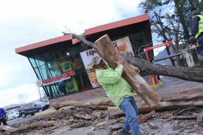 Héctor Gutiérrez Cabello, director de protección Civil y Bomberos, informó que se brindaron 28 servicios. (EL SIGLO COAHUILA)