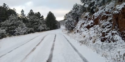 Estiman que continuarán las nevadas en Chihuahua y Sonora. (NOTIMEX)