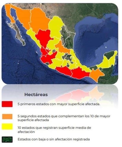 Según datos de la Conafor, en el ámbito nacional se suscitó un daño a 621 mil 267 hectáreas, con un total de siete mil 393 incendios. (EL SIGLO DE TORREÓN) 