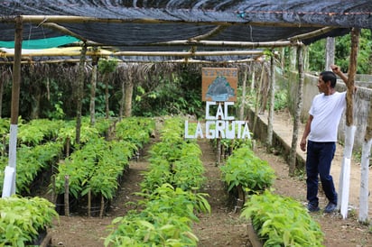 El despertar mundial con la conciencia climática parece haber llegado por fin a México, que vivirá en 2020 un año clave en la materia después de haber pasado de puntillas por la crisis ambiental en este 2019. (ARCHIVO)